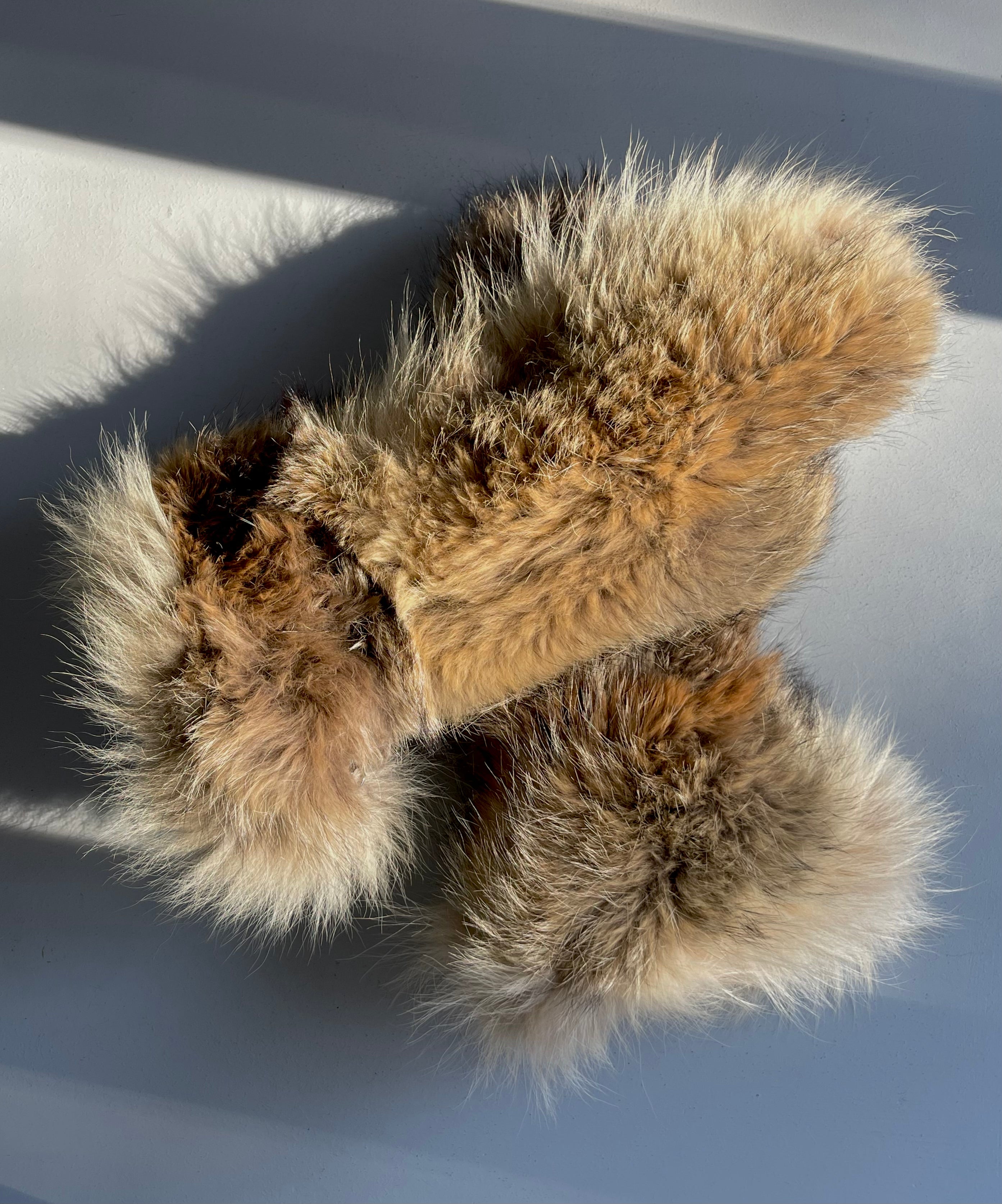 Wolf Mitt