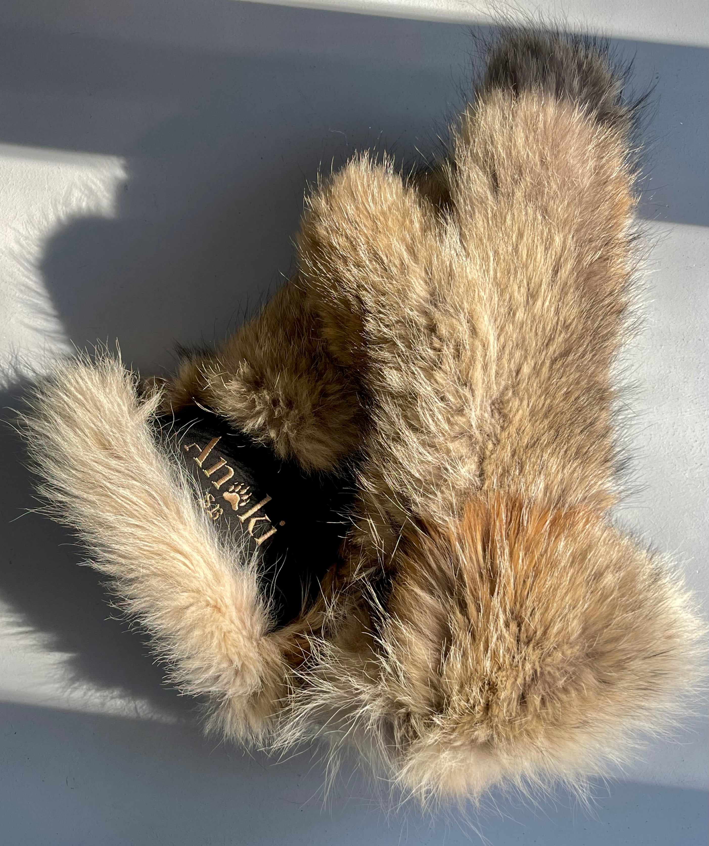 Wolf Mitt