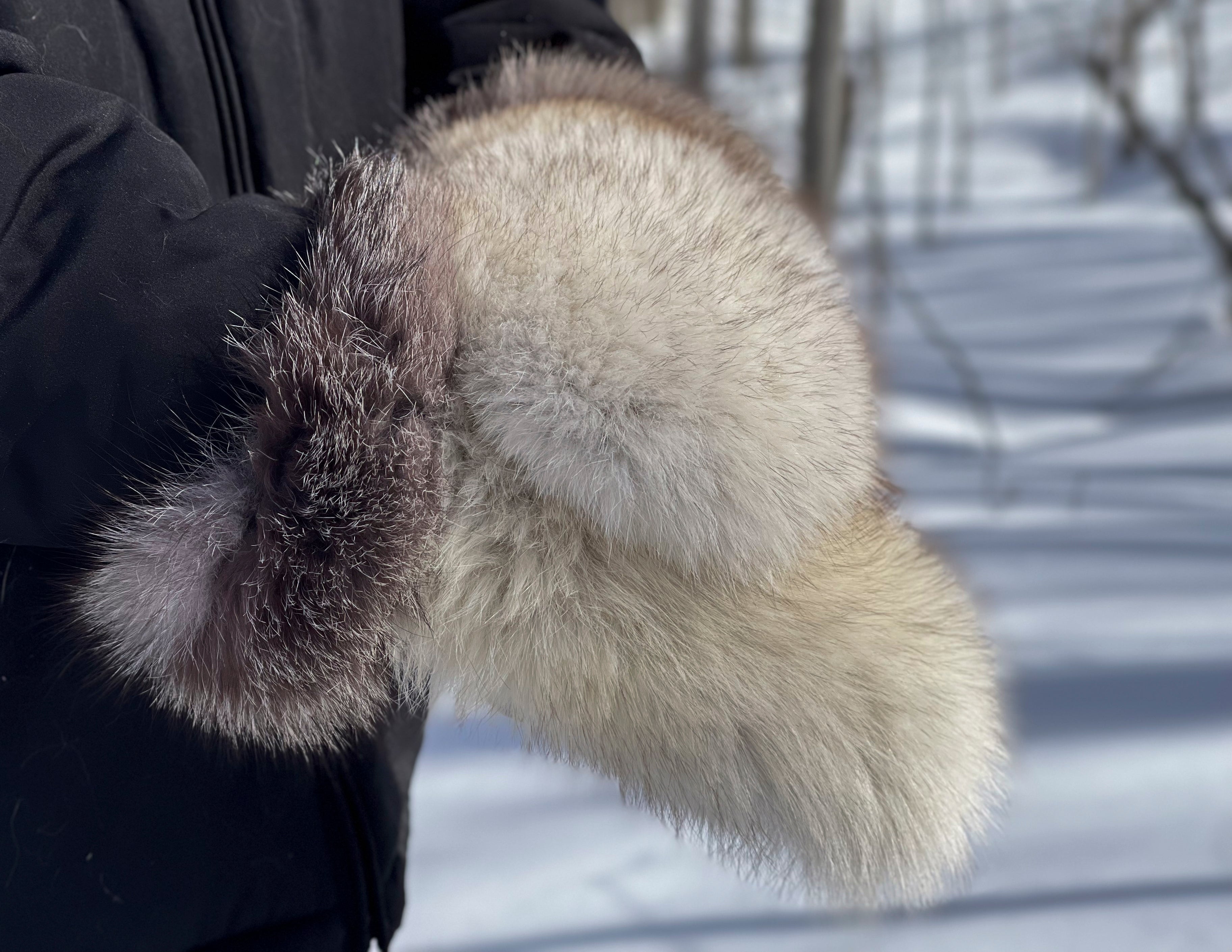 Moufle - Renard blanc et Argenté