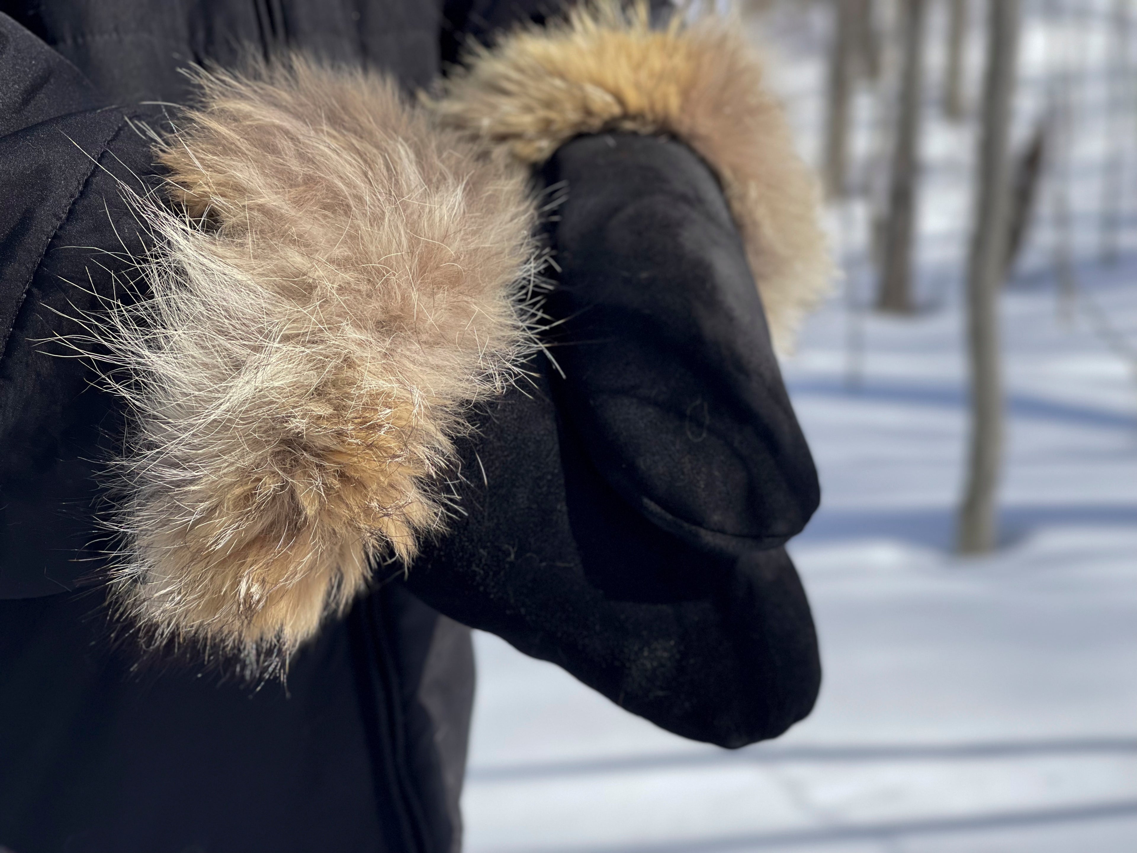 Moufle - Suède & Loup